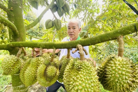 Khẩn cấp gỡ "nút thắt" mã số vùng trồng, Chính phủ thúc đẩy xuất khẩu nông sản trước cao điểm mùa vụ