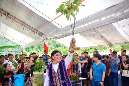 Đà Nẵng: Thương hiệu sâm Ngọc Linh về phố trình làng