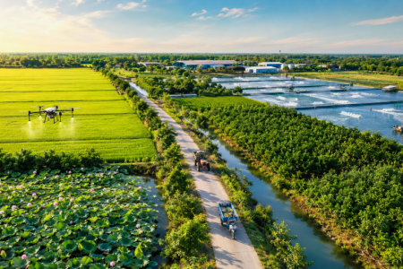Đồng Tháp đặt mục tiêu tăng trưởng nông nghiệp 4,0 - 4,5% trong năm 2026