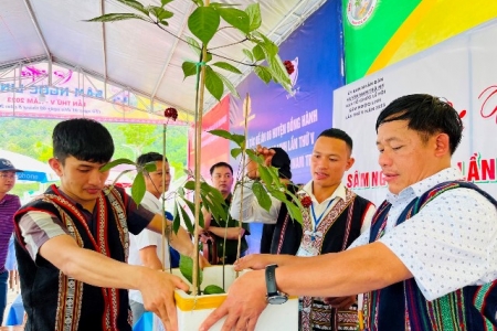 Đà Nẵng: Ban tổ chức Lễ Hội thương hiệu Sâm Ngọc Linh cam kết sẽ không có sâm giả