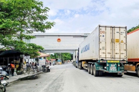 Tuyên Quang: Tổng kim ngạch xuất M888 thắng lớn mỗi ngày 6 tháng đạt 516,7 triệu USD