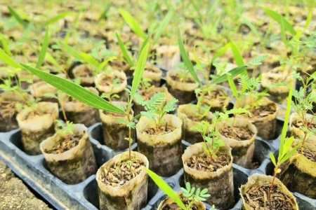 Tuyên Quang: Mục tiêu phát triển hơn 120 doanh nghiệp khởi nghiệp sáng tạo vào năm 2030