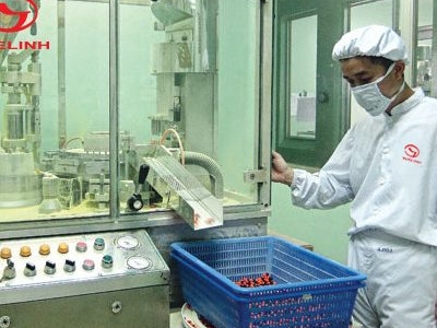 Hành trình đưa cà gai leo Việt vươn tầm thế giới của Tuệ Linh