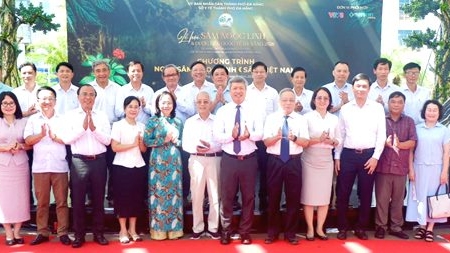 Đà Nẵng: Lập hồ sơ trình Thủ tướng công nhận Ngày Sâm Ngọc Linh