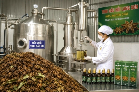 Lạng Sơn phát triển chuỗi liên kết, nâng giá trị nông lâm nghiệp