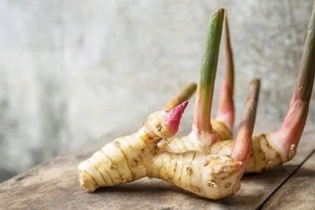 Ăn củ riềng đúng cách mang lại nhiều lợi ích cho cơ thể, từ tiêu hóa đến xương khớp