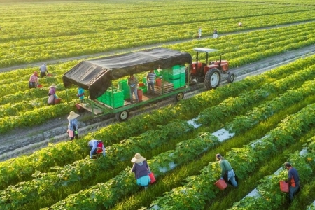 Bỏ điều kiện kinh doanh: Làm sao để nới cửa cho doanh nghiệp nhưng không buông quản lý?