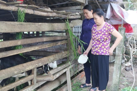 Hà Tĩnh: Trích hơn 9,8 tỷ đồng hỗ trợ mô hình sinh kế cho hộ có hoàn cảnh khó khăn