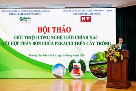 Lâm Đồng giới thiệu công nghệ tưới chính xác kết hợp phân bón chứa Pekacid trên cây trồng