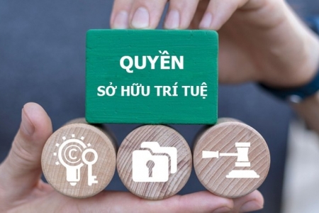 Tăng cường chế tài xử lý các hành vi xâm phạm quyền, vi phạm pháp luật về sở hữu trí tuệ