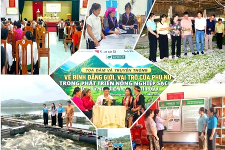 Lào Cai đặt mục tiêu hỗ trợ 300 hộ kinh doanh do phụ nữ làm chủ chuyển thành doanh nghiệp