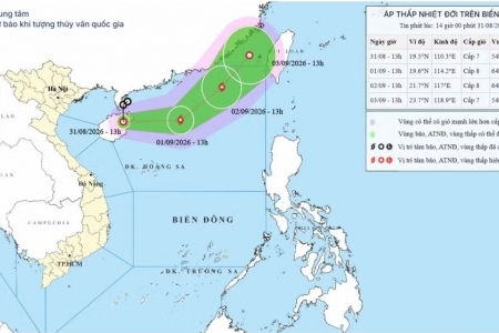 Chủ động ứng phó áp thấp nhiệt đới có khả năng mạnh lên thành bão