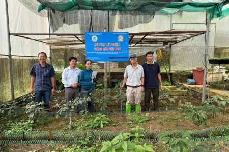 Sơn La mở hướng phát triển dược liệu giá trị cao