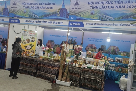8 tháng, Lào Cai có thêm 1.156 doanh nghiệp và 100 hợp tác xã