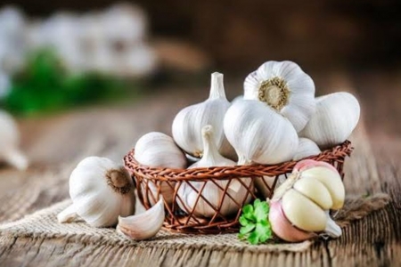 Lợi ích của việc ăn tỏi hằng ngày đối với hệ miễn dịch, tim mạch và những khuyến cáo y khoa
