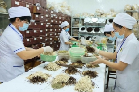 Đề xuất mở rộng danh mục thuốc y học cổ truyền được bảo hiểm y tế chi trả