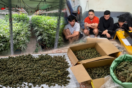 Triệt phá đường dây bán cần sa qua mạng quy mô lớn tại Hưng Yên, khởi tố hàng loạt bị can