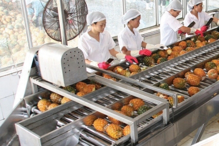 Afiex chuẩn bị phát hành 10,5 triệu cổ phiếu để trả cổ tức