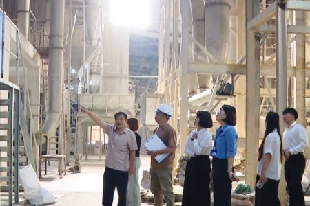 Yêu cầu Nhà máy Tinh bột sắn Sơn La khẩn trương khắc phục các tồn tại