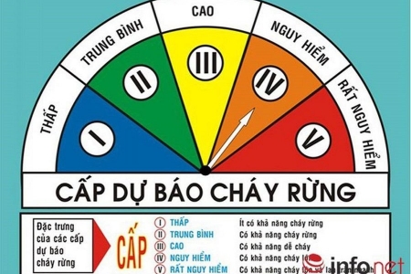 Hải Phòng phát báo động Cấp III: Nguy cơ cháy rừng diện rộng do thời tiết hanh khô cực đoan