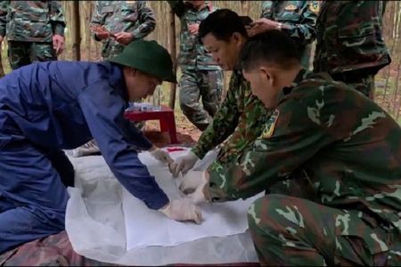 Quảng Trị: Tìm thấy và quy tập 12 hài cốt liệt sĩ