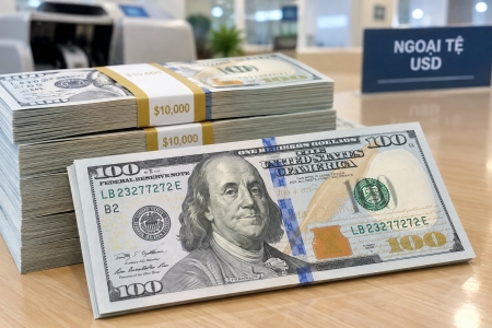 Tỷ giá USD hôm nay 14/10: Tỷ giá trung tâm ổn định