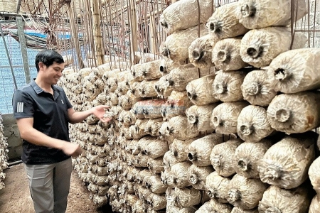 Mô hình OCOP 3 sao tại Hải Phòng: Ngọc Minh Châu và khát vọng nâng tầm giá trị nấm Việt bằng công nghệ