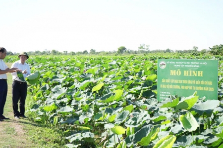 Hà Nội đặt mục tiêu thành lập ít nhất 150 hợp tác xã mới trong năm 2027
