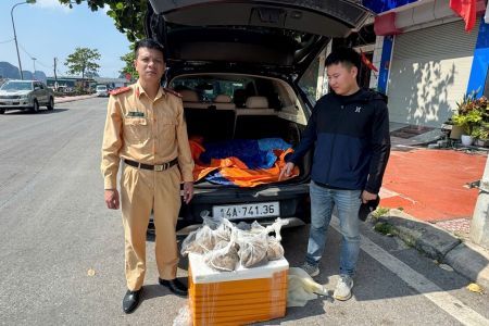 Quảng Ninh: Thu giữ và tiêu hủy khoảng 1,7 triệu cá thể ngao giống không rõ nguồn gốc