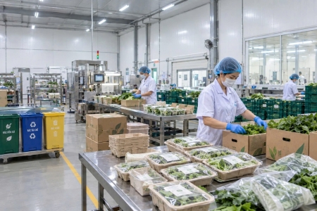 Hà Nội đẩy mạnh công nghệ xanh, nâng cao giá trị nông sản