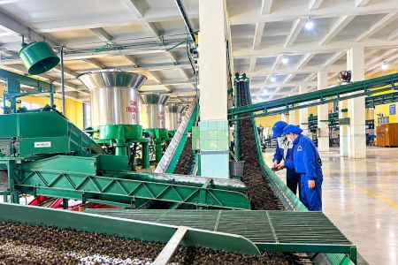 Tuyên Quang tập trung nguồn lực thực hiện 5 chỉ tiêu kinh tế - xã hội trọng tâm cuối năm 2026