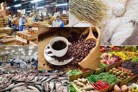 Lâm Đồng: Đưa nông sản vùng đồng bào dân tộc thiểu số lên chợ trực tuyến