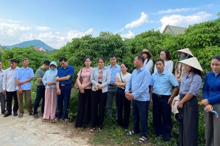 Bắc Ninh: Thúc đẩy liên kết theo chuỗi giá trị, nâng cao chất lượng và sức cạnh tranh của nông sản