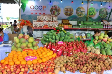 350 gian hàng quảng bá, giới thiệu tiềm năng, sản phẩm OCOP tại Festival nông sản, sản phẩm OCOP gắn kết du lịch năm 2022