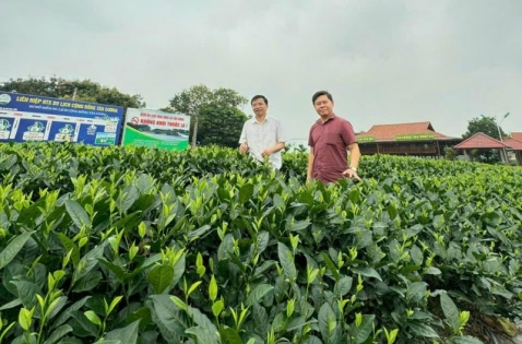 Thái Nguyên phát triển sản phẩm OCOP để xây dựng nông thôn mới