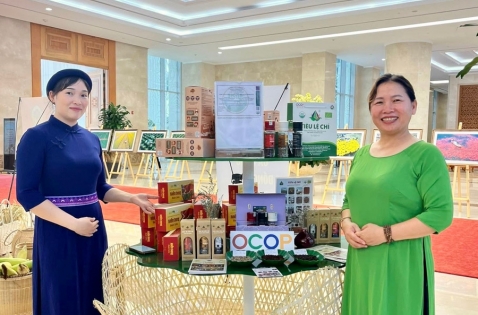 Gia Lai tăng cường công tác quản lý, kiểm tra, giám sát đối với các sản phẩm OCOP