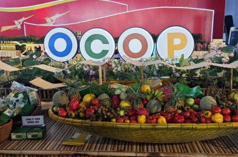 OCOP – Sức sống mạnh mẽ và hướng đi mới cho nông thôn Việt Nam