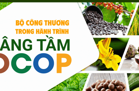 Nâng tầm chương trình OCOP: Từ phát triển số lượng sang chiều sâu chất lượng