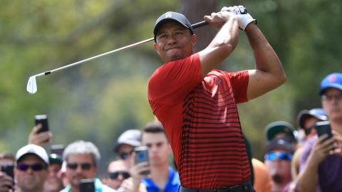Người đặt cược cửa Tiger Woods vô địch The Masters đang cao nhất
