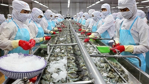 Việt Nam là thị trường cung cấp thủy sản lớn thứ 5 cho Nhật Bản