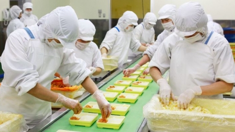 Kết nối doanh nghiệp Việt Nam - Nhật Bản trong lĩnh vực chế biến thực phẩm