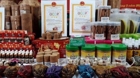Phú Yên đánh giá, phân hạng cho 9 sản phẩm tham gia Chương trình OCOP đợt I năm 2022