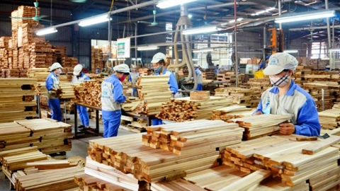Xuất khẩu gỗ và sản phẩm gỗ tăng trưởng khả quan