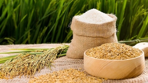 Giá gạo 5% tấm của Việt Nam được chào bán ở mức 415- 420 USD/tấn