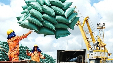Lợi thế của gạo Việt Nam xuất khẩu vào các nước ASEAN rất lớn