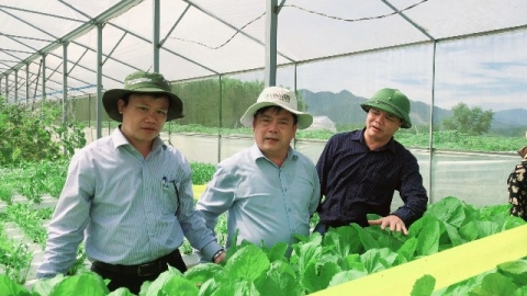 Ứng dụng khoa học và công nghệ vào sản xuất nông nghiệp công nghệ cao tại tỉnh Thừa Thiên Huế