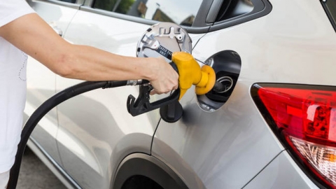 Châu Âu cấm bán xe ô tô chạy bằng xăng dầu từ năm 2035