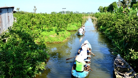 Kiên Giang tập trung phát triển du lịch nông nghiệp