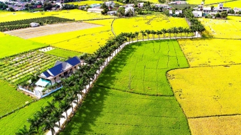 Triển vọng phát triển du lịch sinh thái ở huyện Tân Trụ, tỉnh Long An
