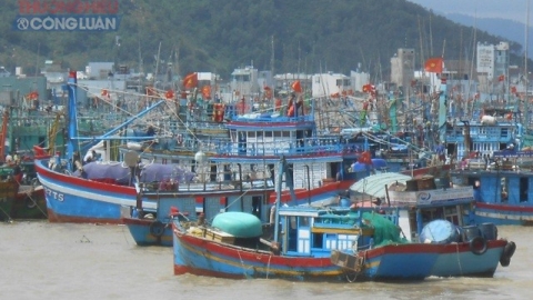 Bình Định hỗ trợ hơn 73 tỷ đồng cho tàu đánh bắt cá xa bờ